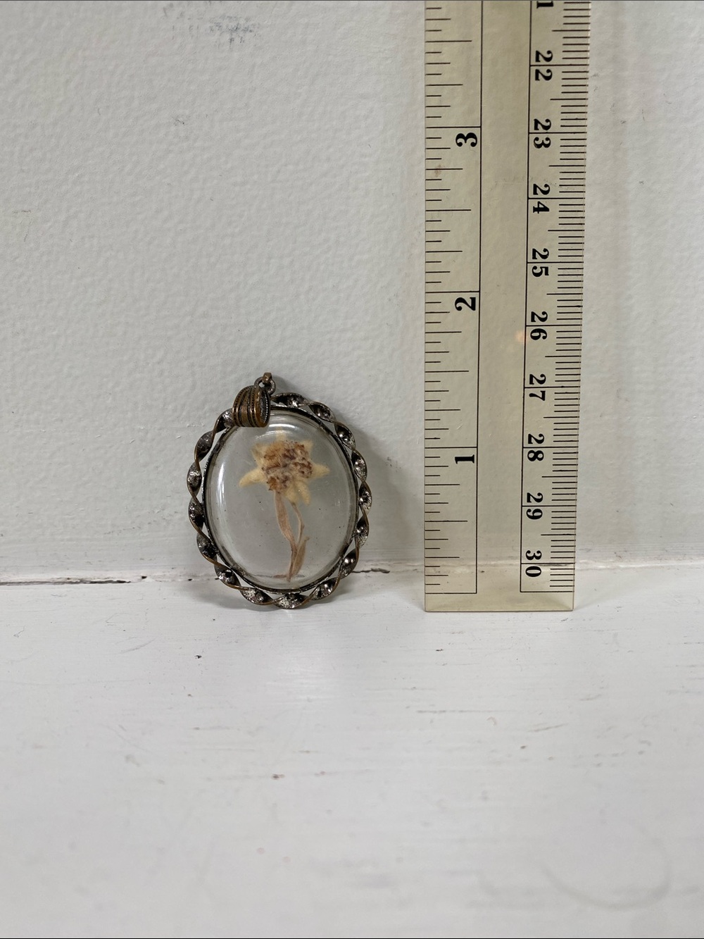 Antique Pressed Edelweiss Flower Resin Pendant in Clear and Tan